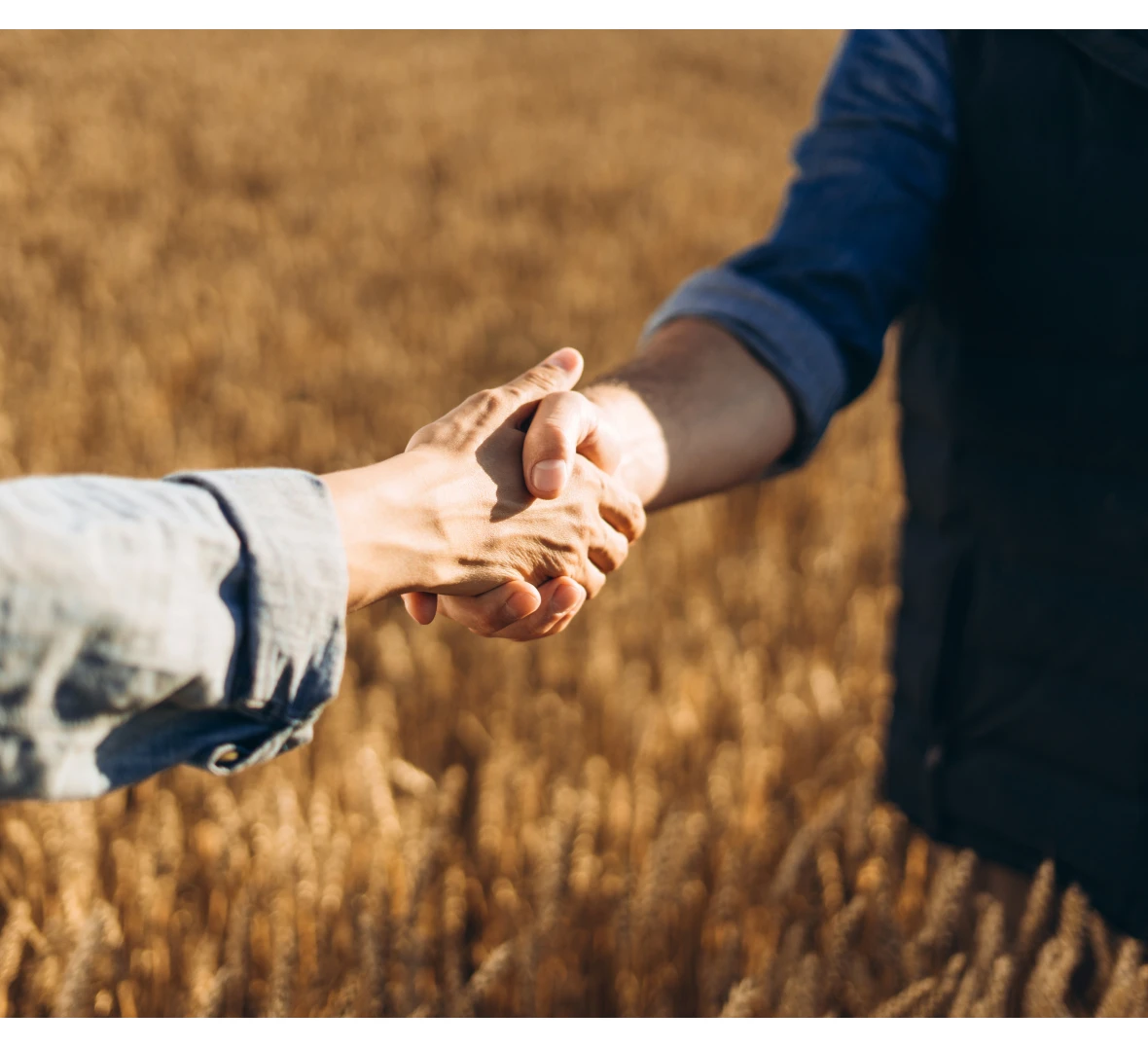 Farmers shaking hands outdoors